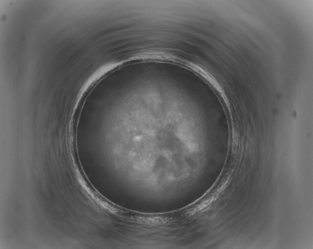 X0000085751045200703301357