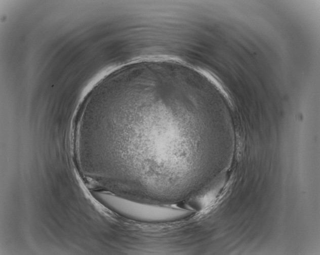 X0000085751046200703301357