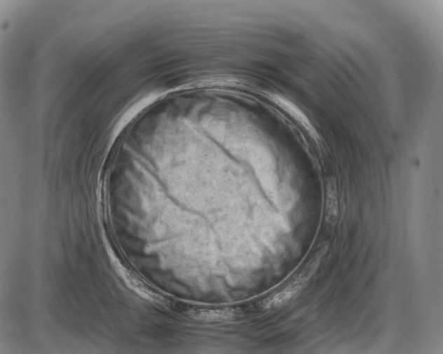 X0000085751047200703301357