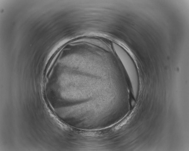 X0000085751048200703301357