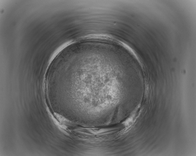 X0000085751050200703301357