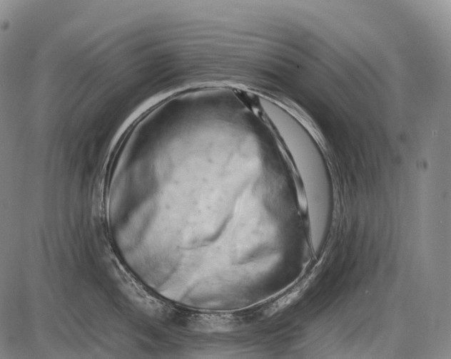 X0000085751052200703301357