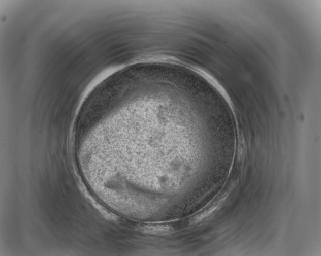 X0000085751053200703301357