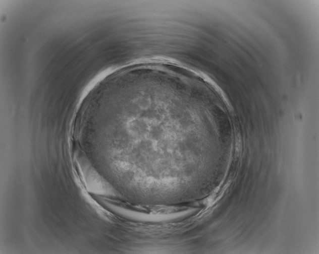 X0000085751054200703301357