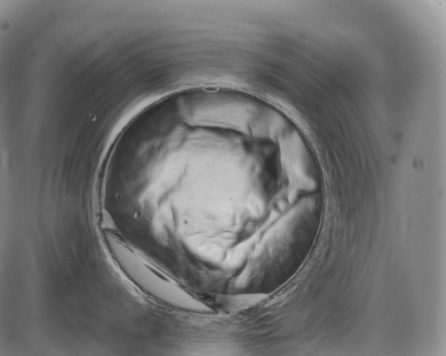 X0000085751056200703301357