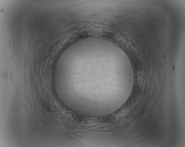 X0000085751057200703301356