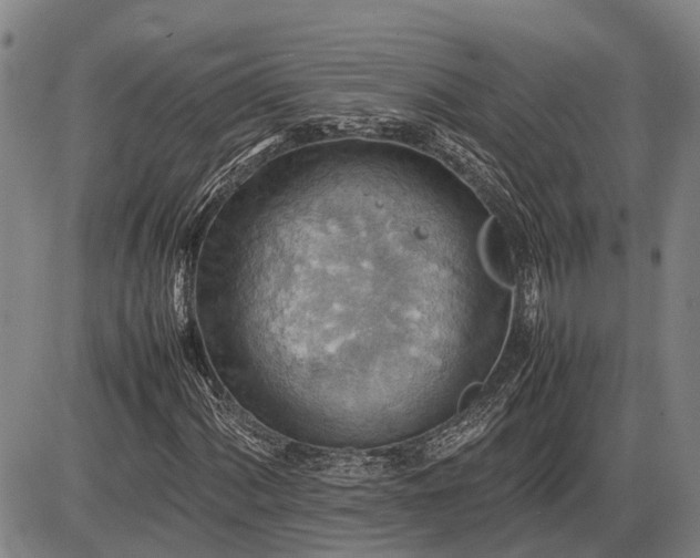 X0000085751060200703301356