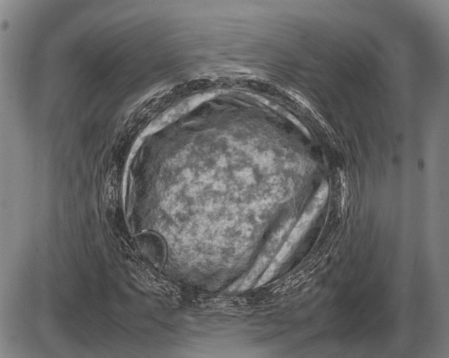 X0000085751063200703301356