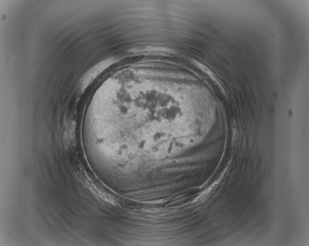 X0000085751066200703301356