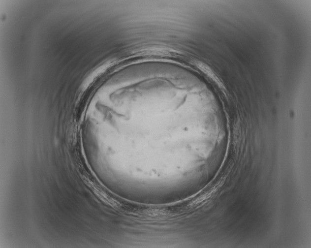 X0000085751067200703301356