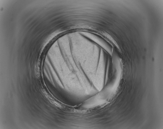 X0000085751068200703301356