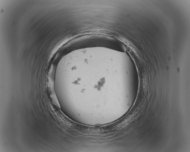 X0000085751069200703301356