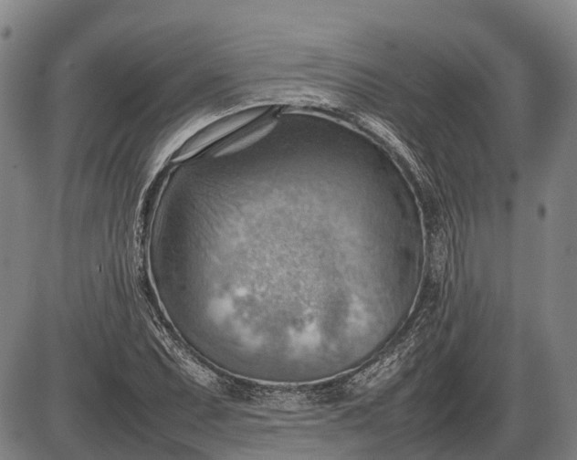 X0000085751071200703301356