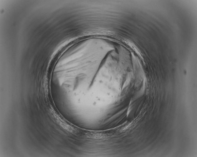 X0000085751072200703301356