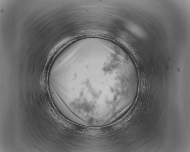 X0000085751074200703301356