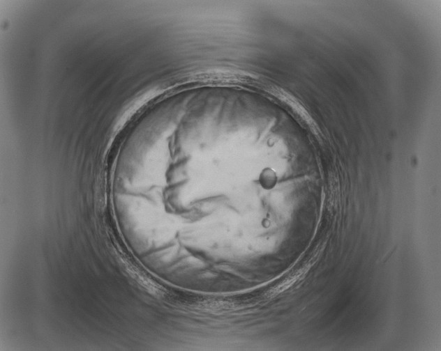 X0000085751075200703301356