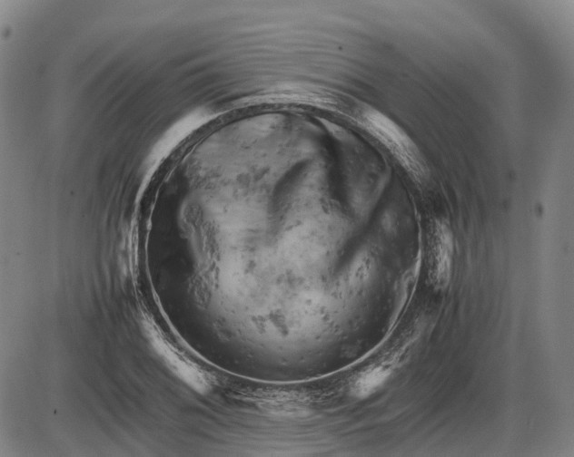 X0000085751076200703301356