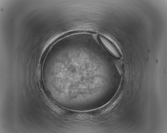 X0000085751077200703301356