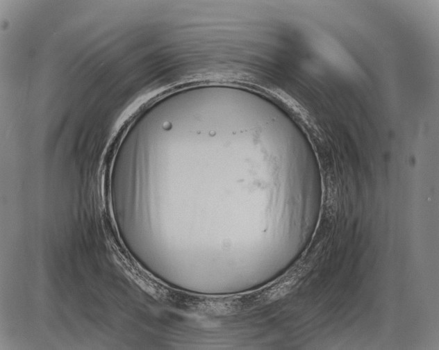 X0000085751078200703301356