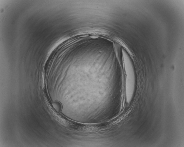 X0000085751079200703301356