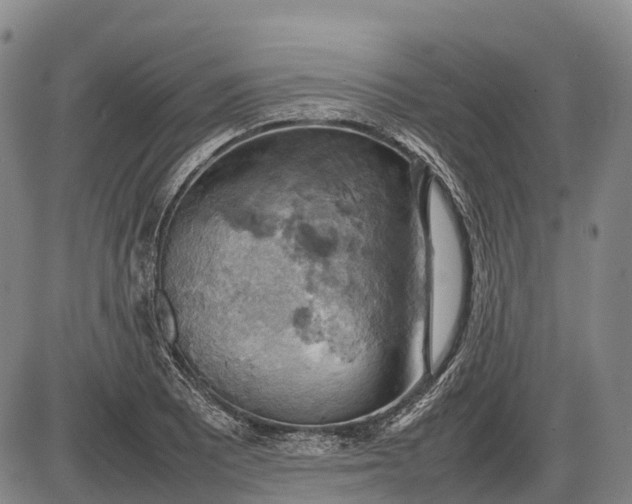 X0000085751081200703301356