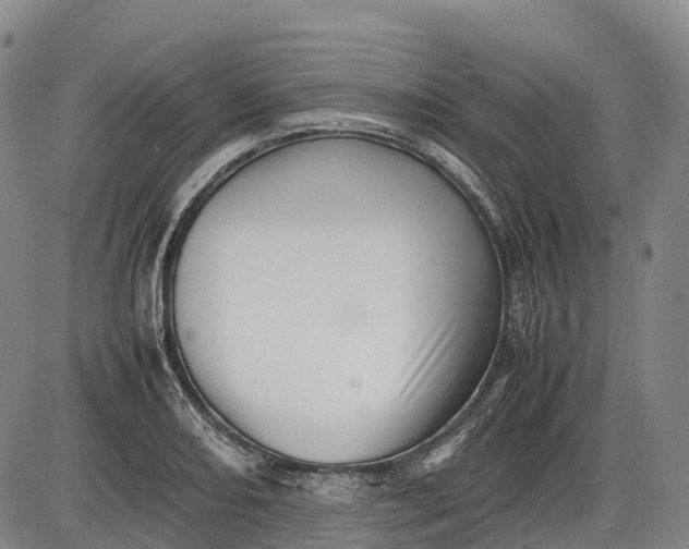 X0000085751082200703301356