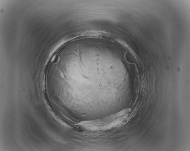 X0000085751083200703301356