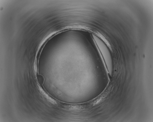 X0000085751084200703301356