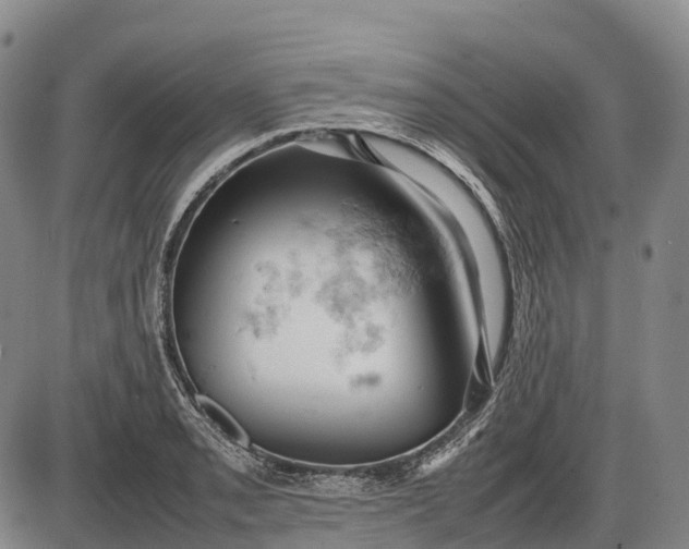 X0000085751085200703301356