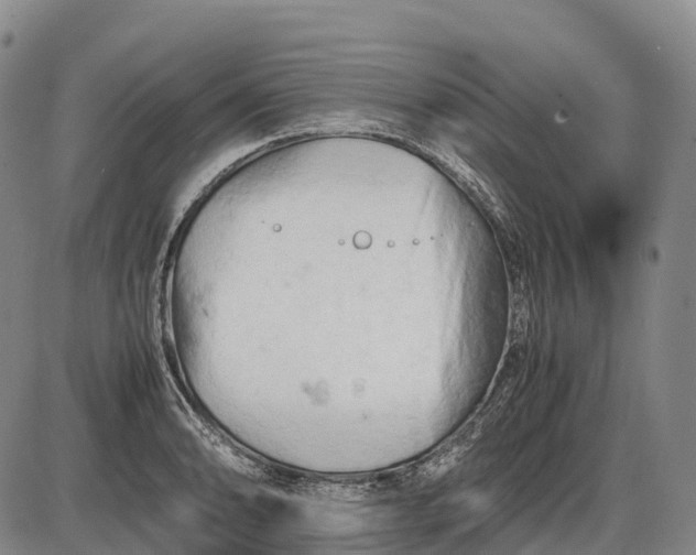 X0000085751086200703301356