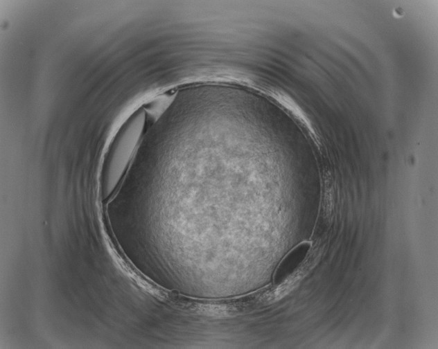 X0000085751088200703301356