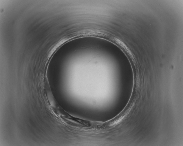 X0000085751089200703301356