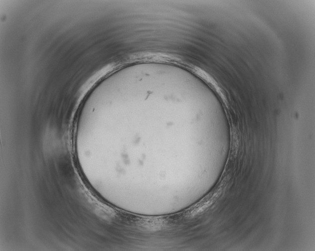 X0000085751090200703301356