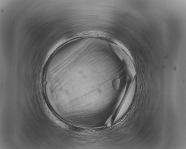 X0000085751091200703301356