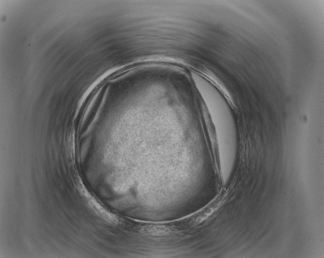 X0000085751092200703301356