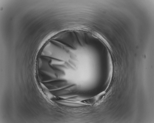 X0000085751093200703301356