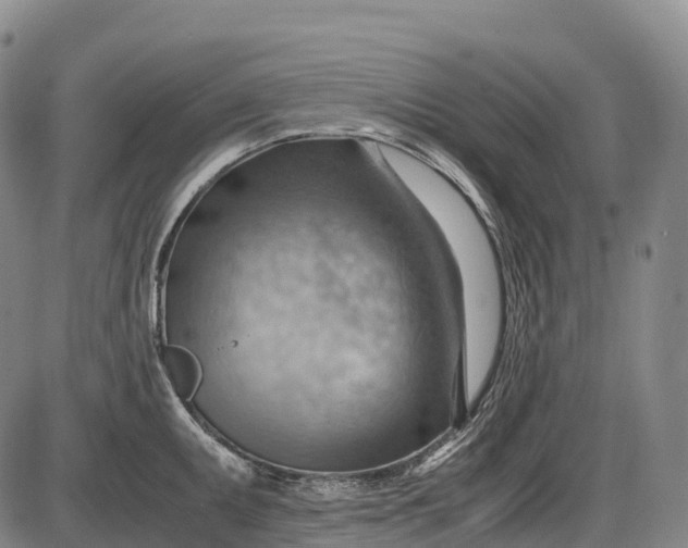 X0000085751095200703301356