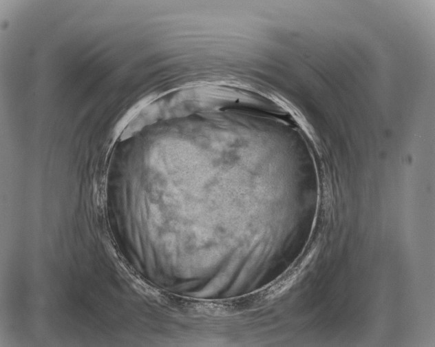 X0000085751097200703301356