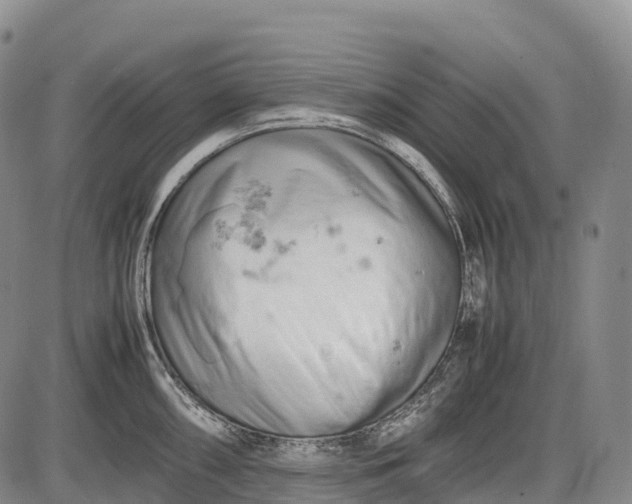 X0000085751098200703301356