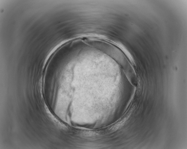 X0000085751100200703301356