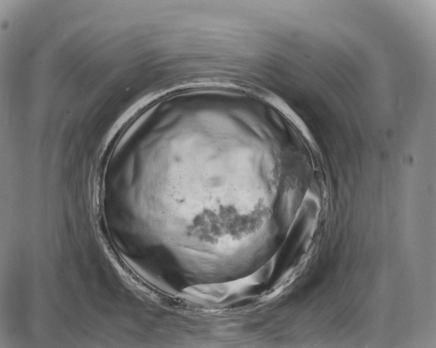 X0000085751101200703301356