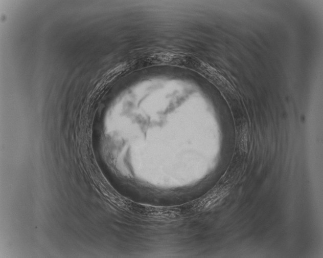 X0000085751105200703301355