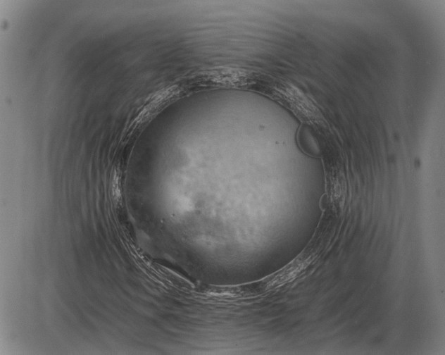 X0000085751106200703301355