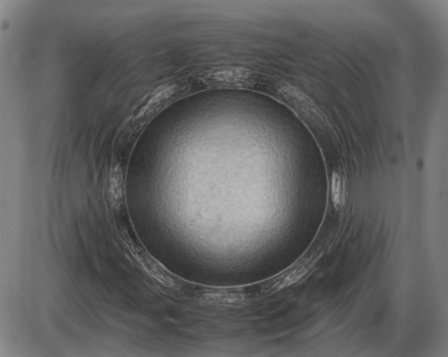 X0000085751107200703301355