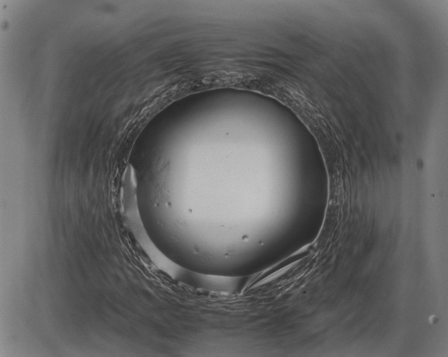 X0000085751109200703301355