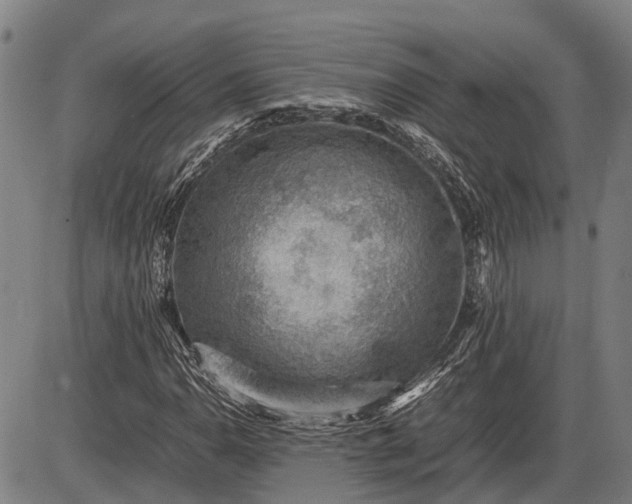 X0000085751110200703301355