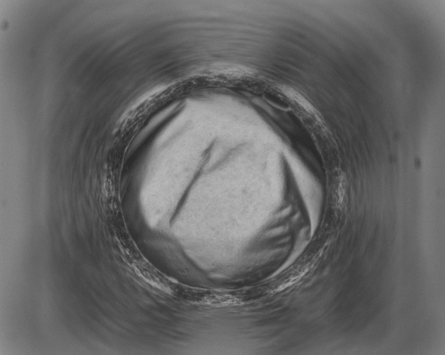 X0000085751112200703301355