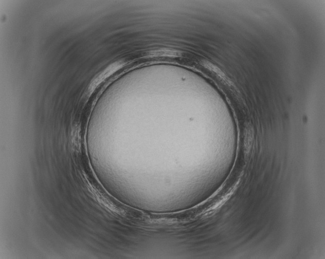 X0000085751113200703301355