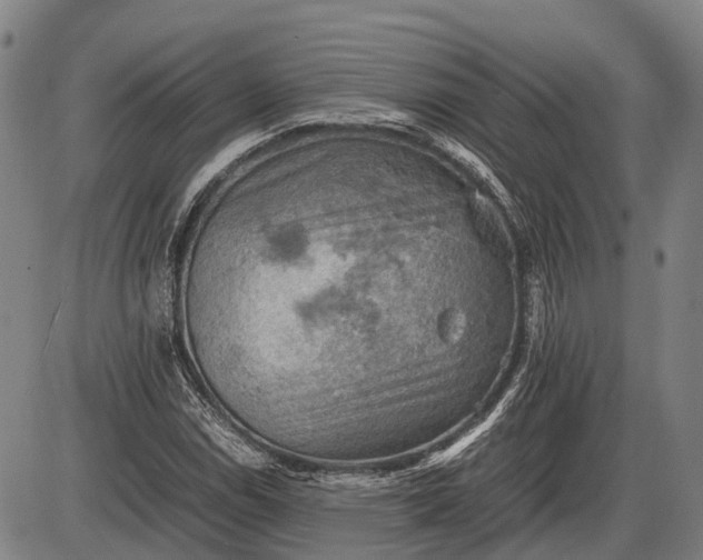 X0000085751114200703301355