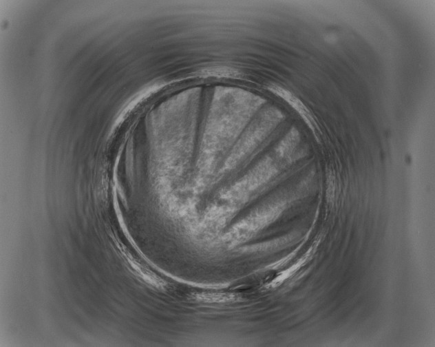 X0000085751115200703301355